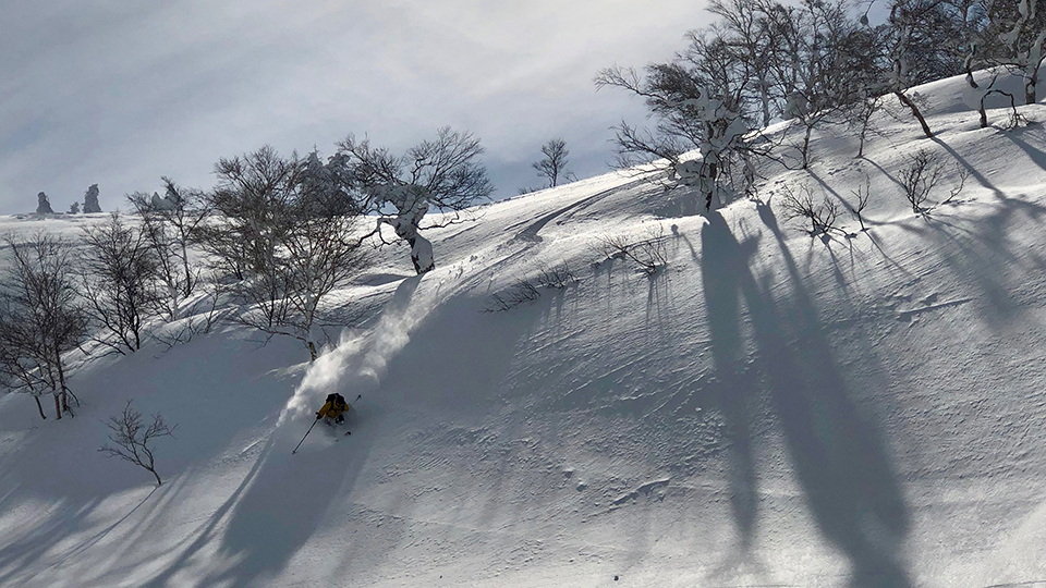BC Skiing Hokkaido